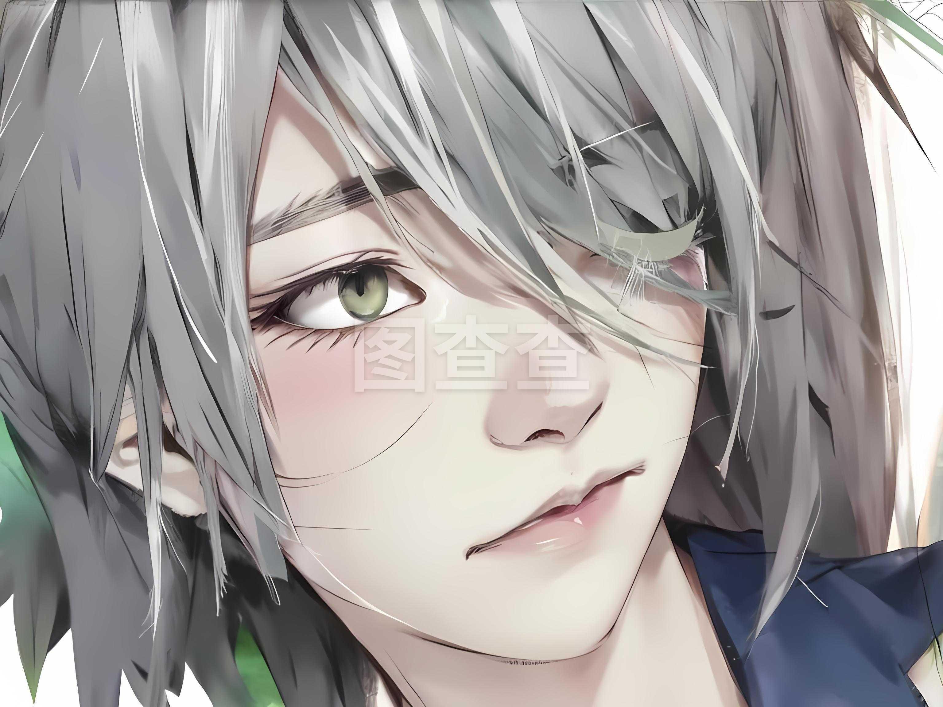 王的隐藏画师